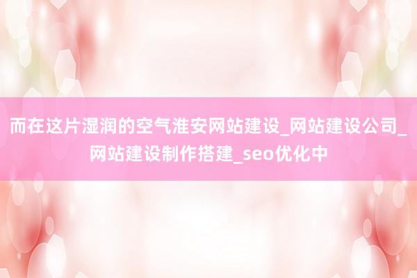 而在这片湿润的空气淮安网站建设_网站建设公司_网站建设制作搭建_seo优化中